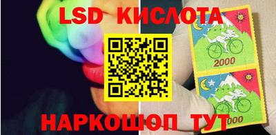 гашик Кимры