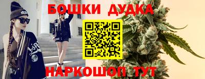 гашик Кимры