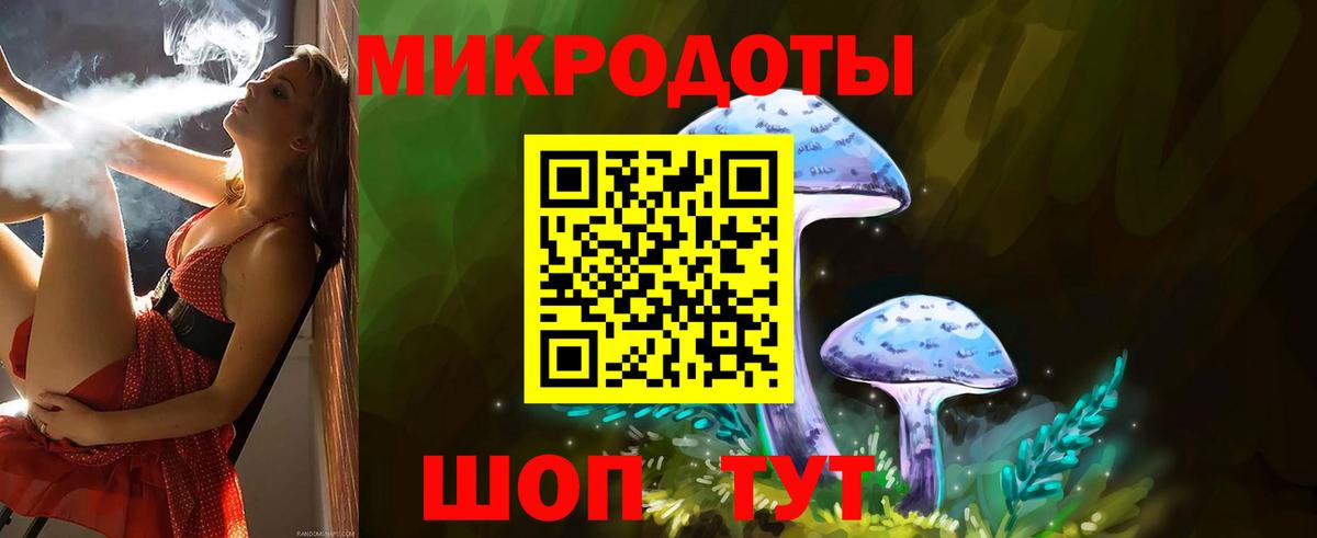 Псилоцибиновые грибы GOLDEN TEACHER Керчь